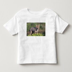 South America, Chile, Torres del Paine NP, Toddler T-shirt