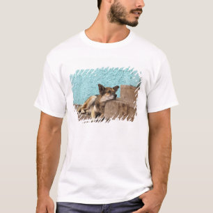 South America, Chile, Valparaiso. German T-Shirt