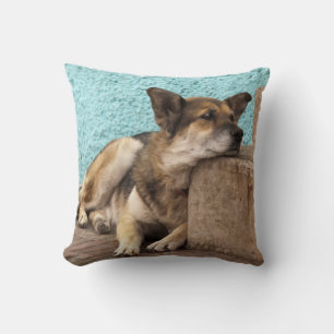 South America, Chile, Valparaiso. German Throw Pillow
