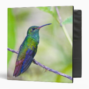 South America, Costa Rica, Sarapiqui, La Selva Binder