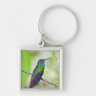 South America, Costa Rica, Sarapiqui, La Selva Keychain