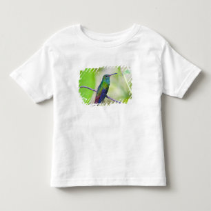 South America, Costa Rica, Sarapiqui, La Selva Toddler T-shirt