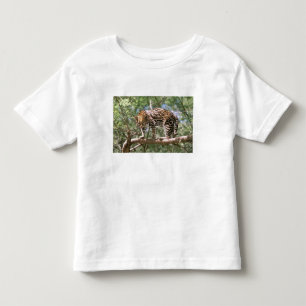 South America, Ecuador, Amazon. Ocelot Toddler T-shirt