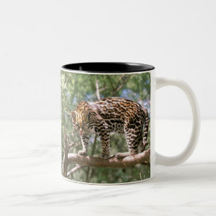South America, Ecuador, Amazon. Ocelot Two-Tone Coffee Mug
