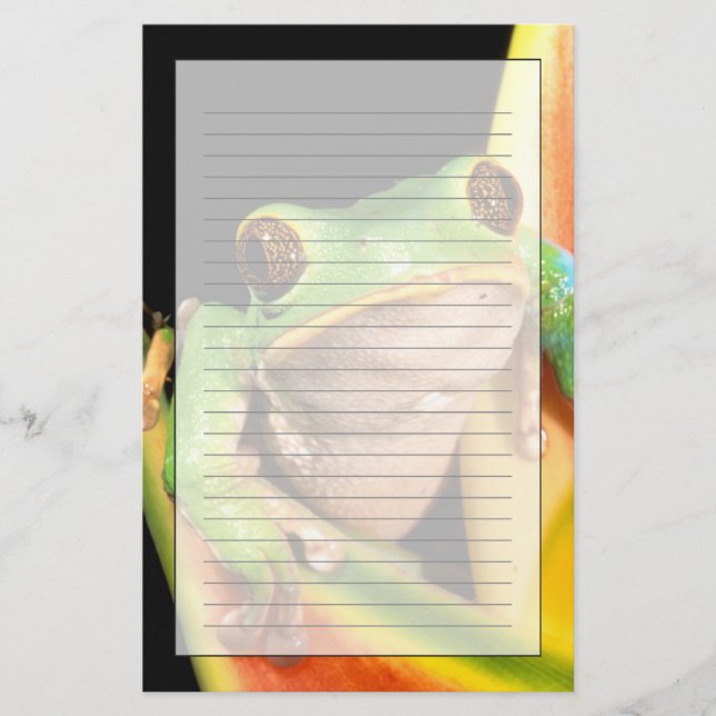 South America, Ecuador, Amazon. Tree frog Stationery (Front)
