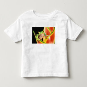 South America, Ecuador, Amazon. Tree frog Toddler T-shirt