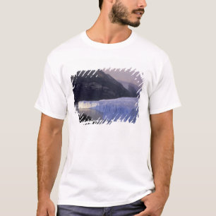 South America, Patagonia, Argentina Parque T-Shirt