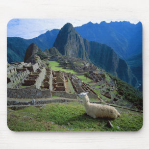 South America, Peru. A llama rests on a hill Mouse Pad