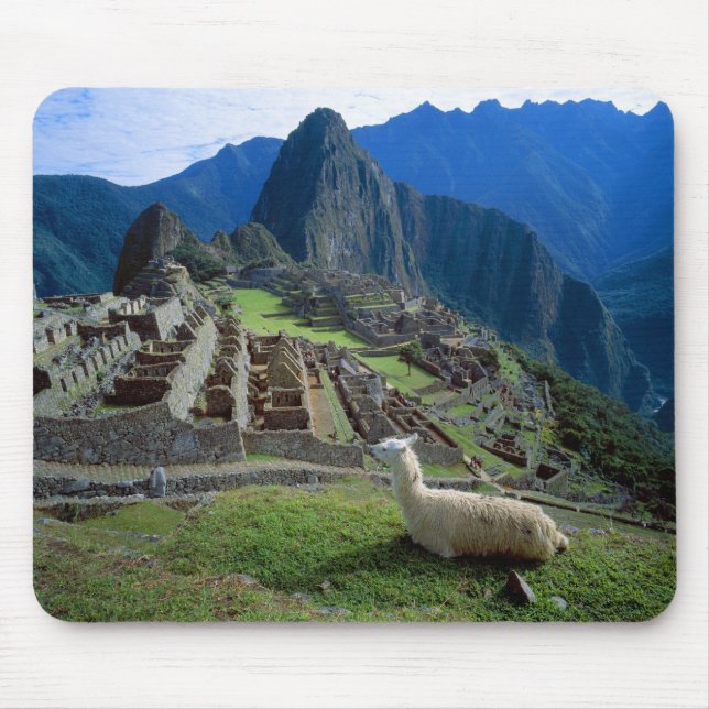 South America, Peru. A llama rests on a hill Mouse Pad (Front)