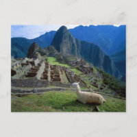 South America, Peru. A llama rests on a hill