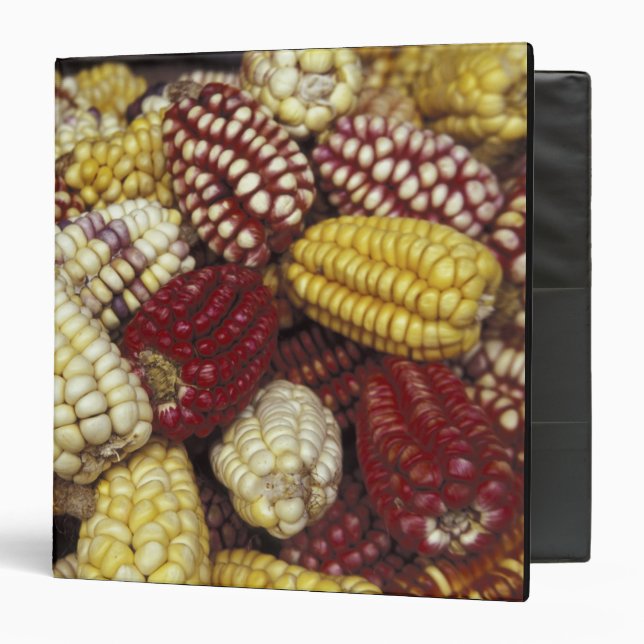 South America, Peru Corn, Maize Binder (Front/Inside)