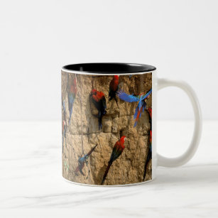 South America, Peru, Manu National Park, Two-Tone Coffee Mug