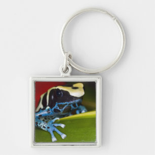 South America, Republic of Surinam. Close-up Keychain
