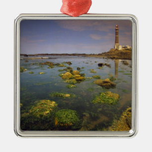 South America, Uruguay, Punta Jose Ignacio, Metal Ornament