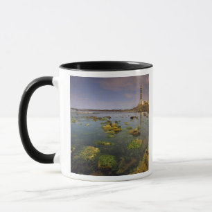 South America, Uruguay, Punta Jose Ignacio, Mug