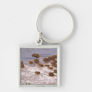 South America, Venezuela, Llano region. Keychain