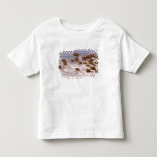 South America, Venezuela, Llano region. Toddler T-shirt