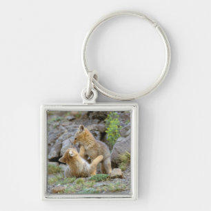 South American Grey Fox (Lycalopex griseus) pair 2 Keychain