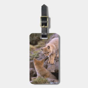 South American Grey Fox (Lycalopex griseus) pair Luggage Tag