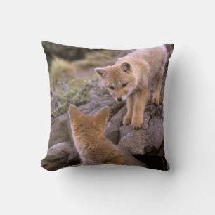 South American Grey Fox (Lycalopex griseus) pair Throw Pillow