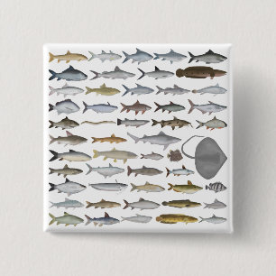 South Asia Freshwater Fish Group 2 Inch Square Button