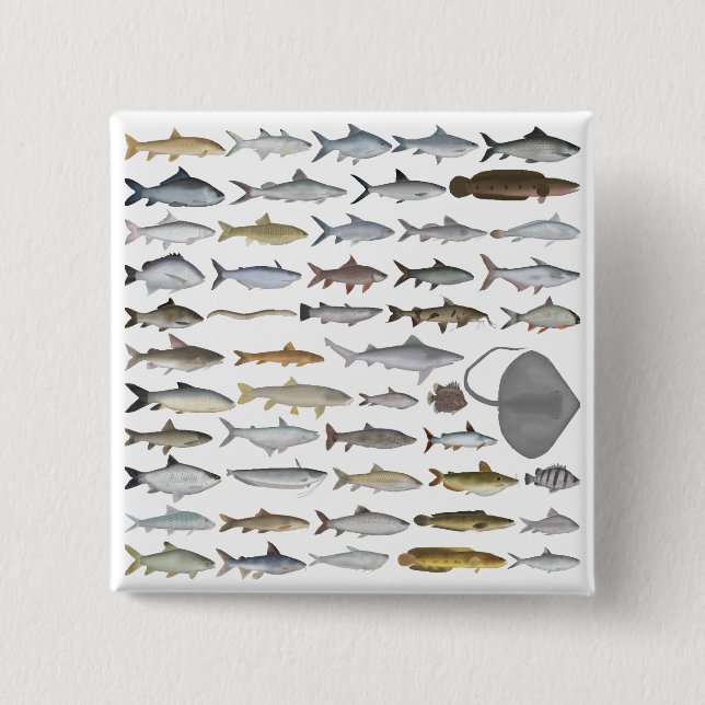 South Asia Freshwater Fish Group 2 Inch Square Button (Front)