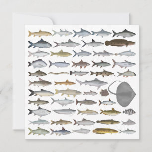 South Asia Freshwater Fish Group Card
