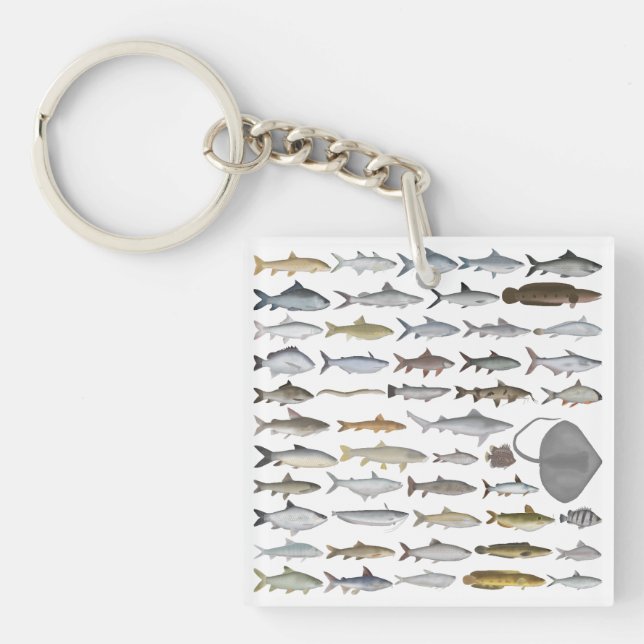 South Asia Freshwater Fish Group Keychain (Front)