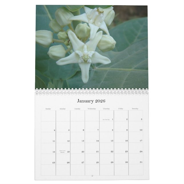 South Asian Flowers Calendar (Jan 2026)