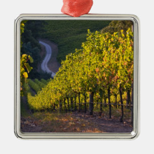 South Australia, Adelaide Hills, Summertown. 2 Metal Ornament