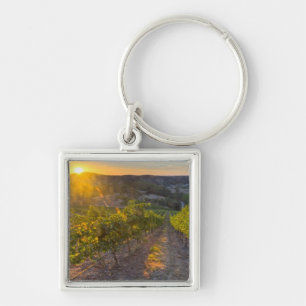South Australia, Adelaide Hills, Summertown. Keychain