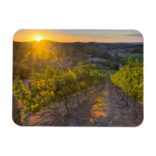 South Australia, Adelaide Hills, Summertown. Magnet