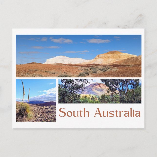 South Australia Postcard (Front)