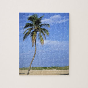 South Beach, Miami Beach, Florida, USA Jigsaw Puzzle