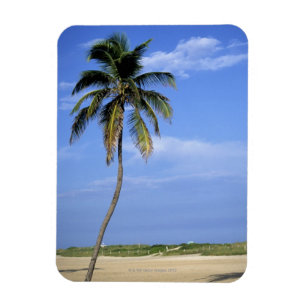 South Beach, Miami Beach, Florida, USA Magnet