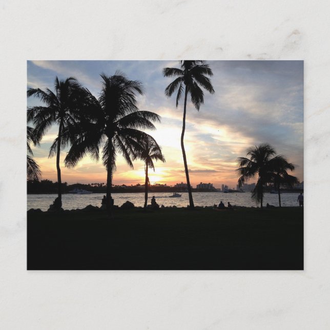 South Beach, Miami Palm Trees à Sunset Carte posta (Devant)