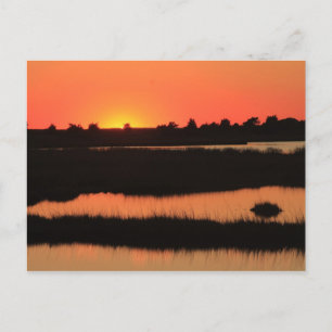 South Cape Beach Marshes at Sunset Mashpee Cape Co Postcard
