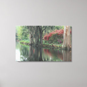 South Carolina, Charleston Canvas Print