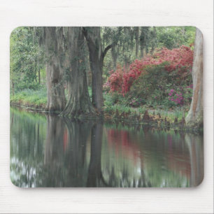 South Carolina, Charleston Mouse Pad