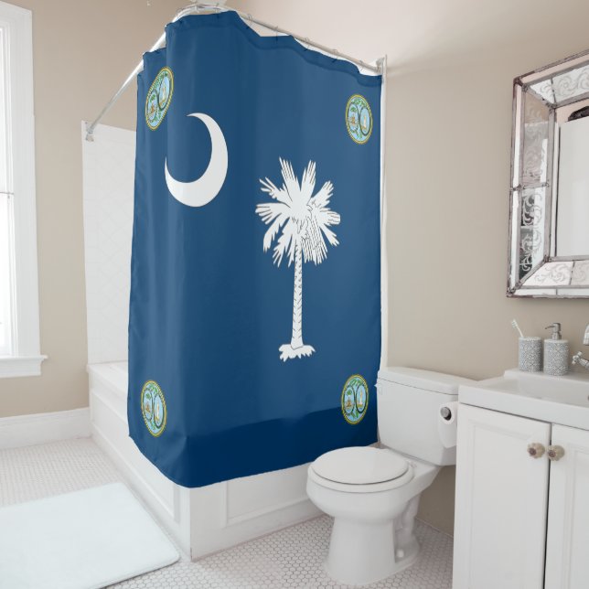 South Carolina flag (In Situ)