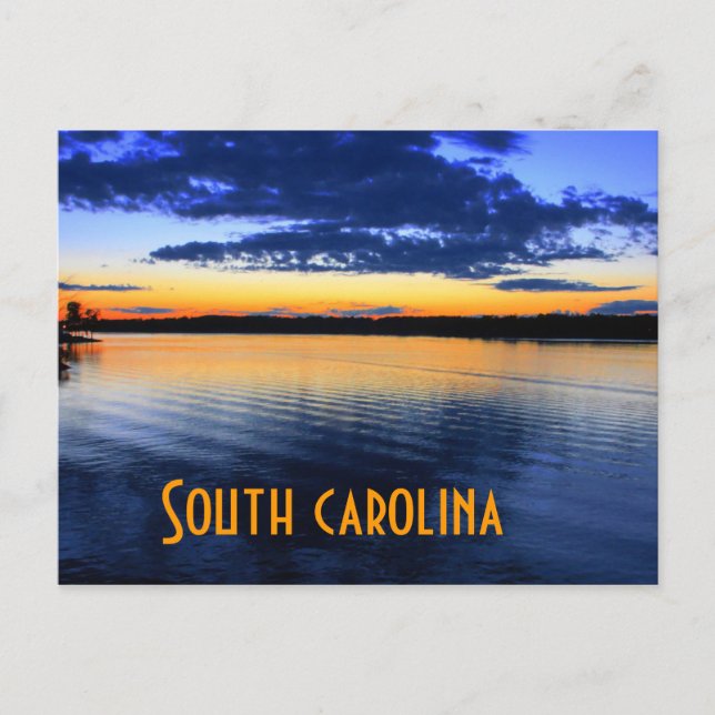 south carolina postcard (Front)