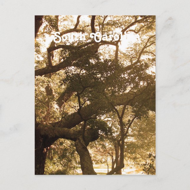 South Carolina Postcard (Front)