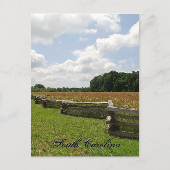 South Carolina Postcard (Front)