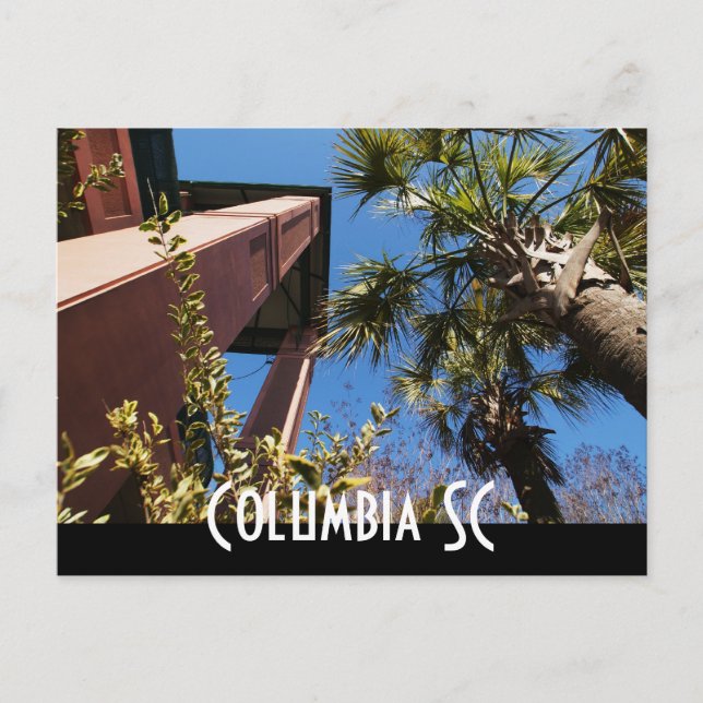 south carolina postcard (Front)