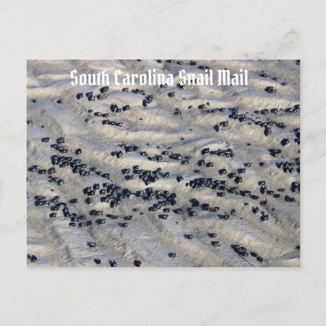 South Carolina Snail Mail 2 Postcard (Front)