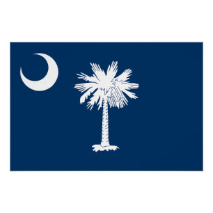 South Carolina State Flag Poster