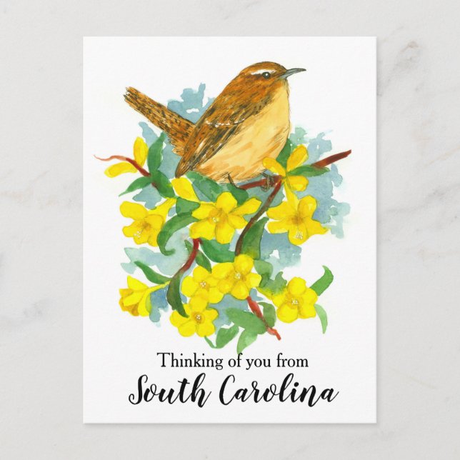 South Carolina Wren Bird Thinking of You Postcard (Front)