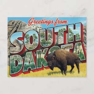 South Dakota Mount Rushmore Bison Postcard