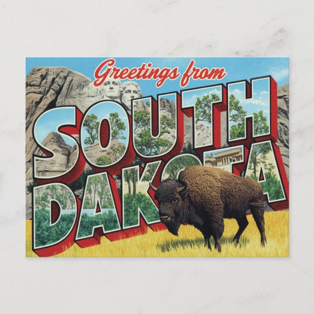 South Dakota Mount Rushmore Bison Postcard (Front)