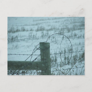 South Dakota Snowstorm Postcard